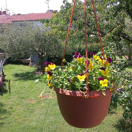 Studio Benassi Poreč Exteriér fotografie